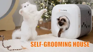 PawSwing Self-Grooming House Neo | Unpacking and first reaction | THE GREAT FIGHT 😂