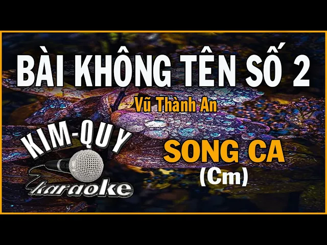 BÀI KHÔNG TÊN SỐ 2 (Vũ Thành An) - KARAOKE SONG CA ( Cm/Đô Thứ =