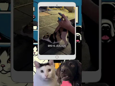 Bro got betrayed 😭🤣 | Huh?!