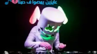 قاعدين يجيبوا ف اسمنا   حالات واتس دندنها
