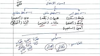 أسماء الأفعال شرح وتدريبات 