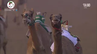 الشوط 3 عسيله لـ احمد خلفان بن بخيت المزروعي 5 56 2 تأهيلي الوثبة 2021 9 17 الوثبة لقايا 