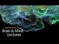Chen Institute Brain Mind Lecture NeuroAesthetics
