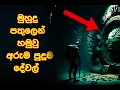 Download Lagu Strange things found underwater #deepsea  #abirahas