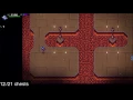 Firecrow s CrossCode Treasure Guide Faj ro Temple -