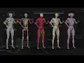 Download Lagu Introduction to Ziva VFX: Volume 2 with Madhav Shyam