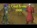 Loot From 1000 Chaos Druids OSRS ironman 14