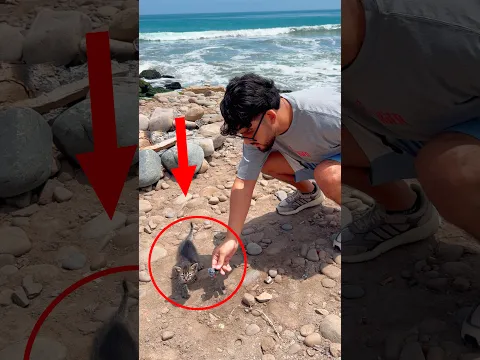 Te cambio la vida si no dices nada