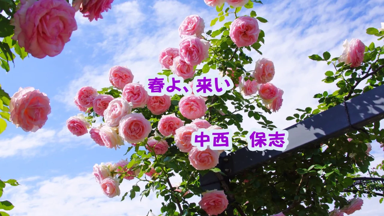 中西保志 「 春よ、来い 」 松任谷由実(詞・曲)