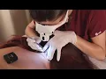 Download Lagu ASMR School Nurse LICE Check on Scalp and Neck | Removal with Tweezers