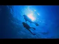 Download Lagu ENYA Caribbean Blue with stunning Underwater Ocean video. Beautiful music for great relaxation.