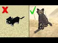 Procedural Generation Done Right Devlog