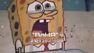 الامل في بوقهم زي اللبانه   دندنها