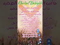 Download Lagu Sholawat Khoirul Bariyah #viralvideo #sholawat #religion