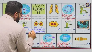 حصة احياء الاستاذ ادريس جلال 8 12 2024 