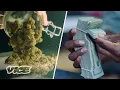 The Green Rush to Colorado s Multibillion-Dollar Weed Industry WEEDIQUETTE