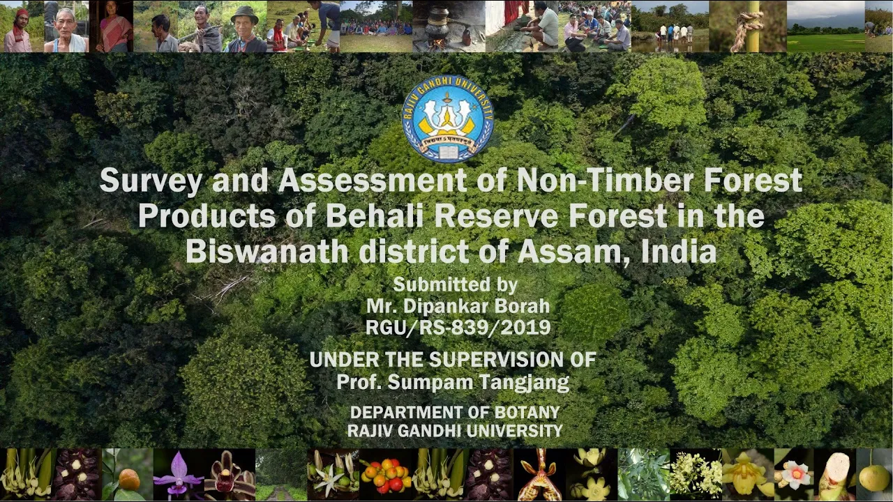 Survey & Assessment of Non Timber Forest Products of Behali Reserve Forest, Assam, India