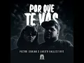 Porque Te Vas