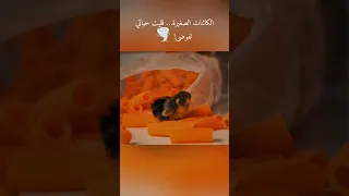 لا تنسى اللايك والاشتراك في القناه Movie ملخصات افلام Film اكسبلور 