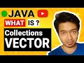 Collection Vector in java Tutorial in Debug Style 2020 Latest Coding Basic BEST IN ENGLISH