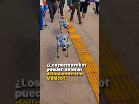 ¿Los perros robot pueden detener delincuentes en México?