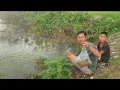 Download Lagu mus pub kuv cov ntses.3/9/2025