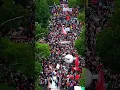 Download Lagu 💣Milhares de pessoas de São Paulo em defesa da Palestina pedindo fim da relação Brasil x Israel💣