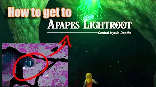 How to get to the Apapes Lightroot Under Hyrule Forest Park - Zelda Tears of the Kingdom Totk