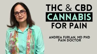 Cannabinoids and Cannabis by Dr Andre Furlan MD P