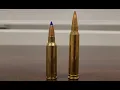 300 WSM vs 300 Winchester Mag