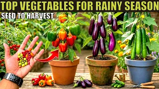 Top 8 Vegetables For Monsoon Season | Plant in July-August