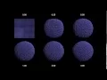 SPH Fluid Simulation - Surface Tension