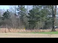 pike county murder