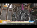 Sac Bike Kitchen Sale