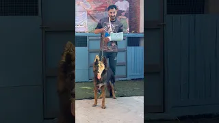 عرض جديد من عرضتنا 01031430347 