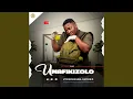 Umafikizolo Uyoncengwa Unyoko EP 2025 Mix