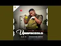 Download Lagu Umafikizolo Uyoncengwa Unyoko EP 2025 Mix