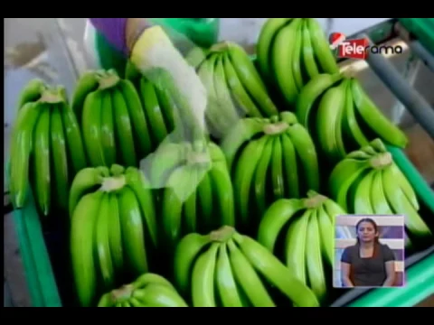 Productos ecuatorianos ingresarán con cero arancel a Europa