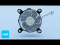Processor Installation in A LGA1150 Socket Intel