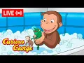 LIVE Curious George Episodes George s Froggy Bath Time MORE
