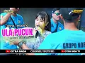 Lagu ULA PUCUK // CITRA NADA LIVE REUNI CREW 'ANTONIO JOSE NORES' // DEBONG KIDUL - KOTA TEGAL