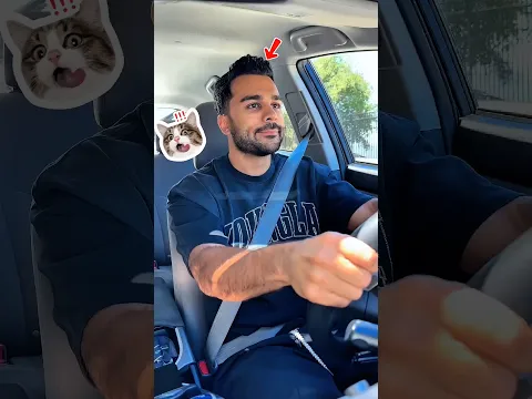 El Ciclista Misterioso 🚲😱 #Catsoftiktok #CatLovers #cat #cute #FunnyCats #catcartoon #fyp