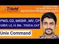 Unix Command Basic UNIX Commands Tutorial Explanation of Basic Unix Commands Beginners guide