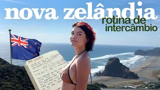 como é o intercâmbio na nova zelândia (vlog de rotina, vistos, preços)