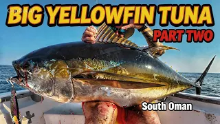 BIG Yellowfin Tuna in South Oman. Great Fishing with AB Charters. Lures Only. Part Two