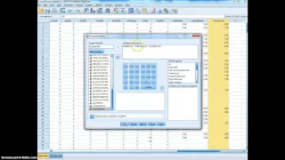 Tutorial-Recode and Compute Variables in SPSS