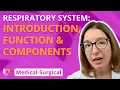 Respiratory System Introduction Function Components - Medical-Surgical LevelUpRN
