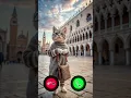 Download Lagu New 2025 Effect cute cat is calling Me #cat #call #ringtones #ringtone #new #2025 #effects #billi