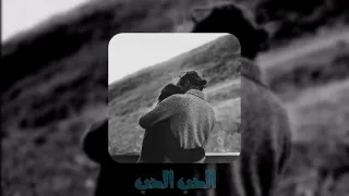 الحب الحب Mohamed El Majzoub بطيء Slowly 