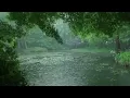 The beautiful little river is raining(192) , sleep, relax, meditate, ASMR, Real Shot
